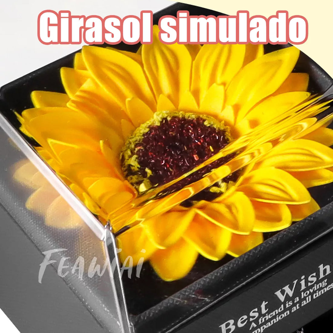 Set Caja Flor Eterna: Collar Plata 925